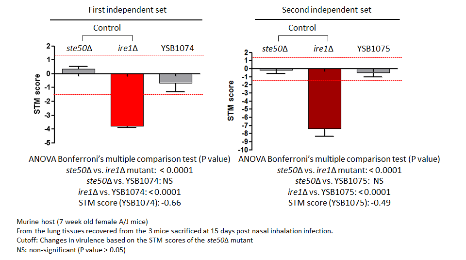 STM murine host model data for CNAG_03561T0