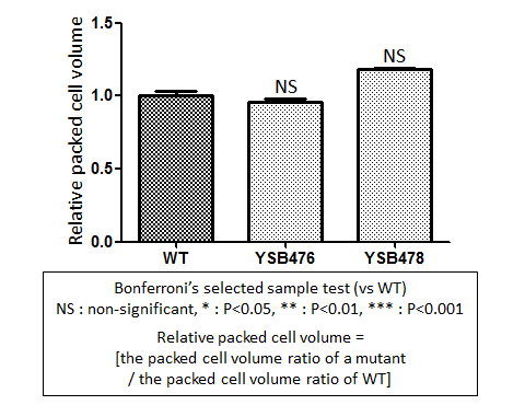 Capsule phenotype for CNAG_03710T0