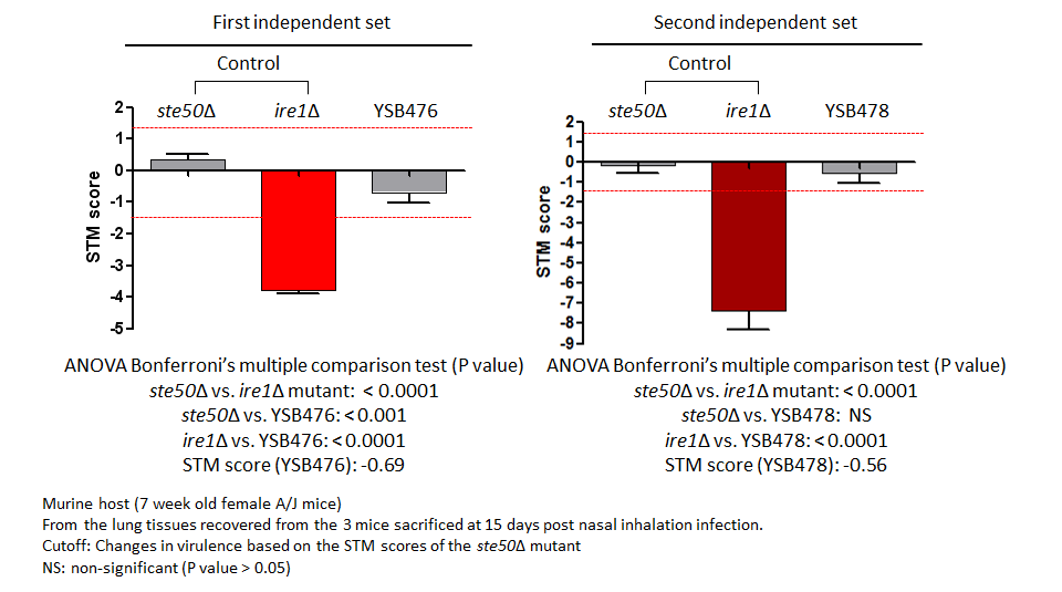 STM murine host model data for CNAG_03710T0