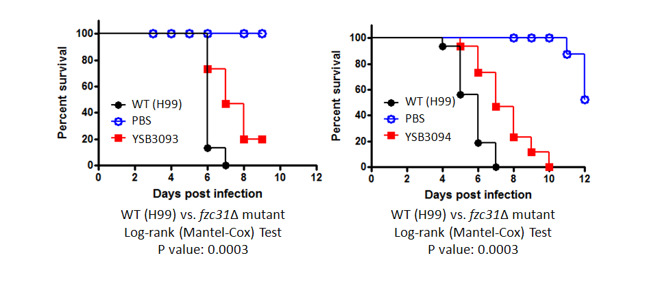 Galleria mellonella virulence data for CNAG_03741T0