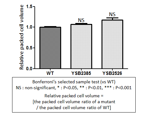 Capsule phenotype for CNAG_03768T1