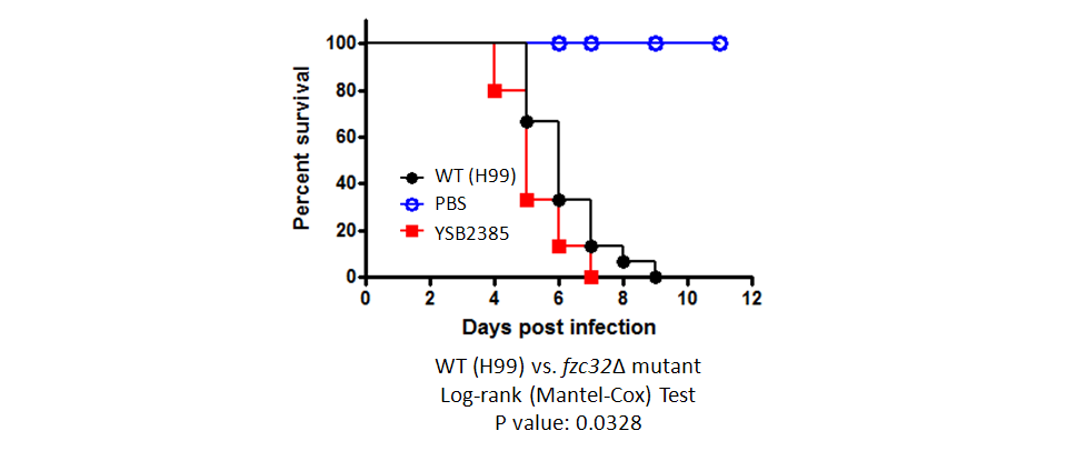 Galleria mellonella virulence data for CNAG_03768T1