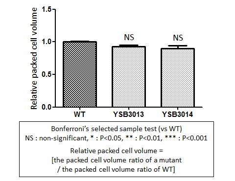 Capsule phenotype for CNAG_03849T0