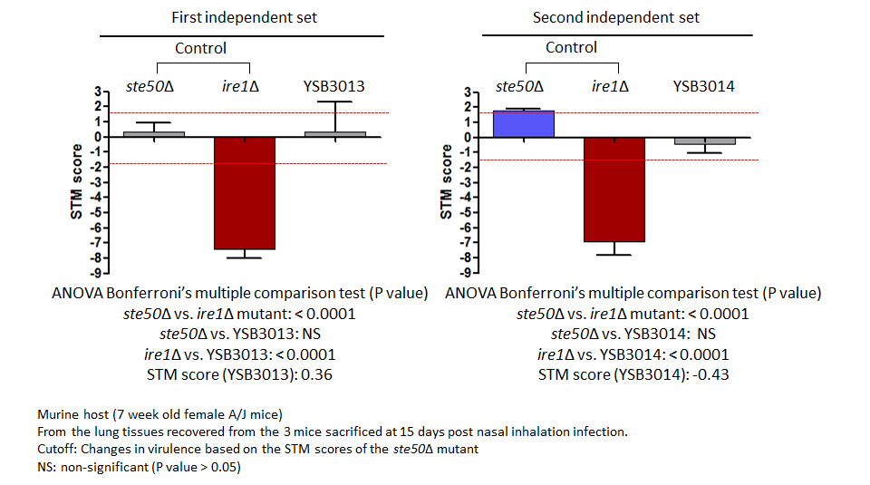 STM murine host model data for CNAG_03849T0