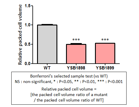 Capsule phenotype for CNAG_03902T0