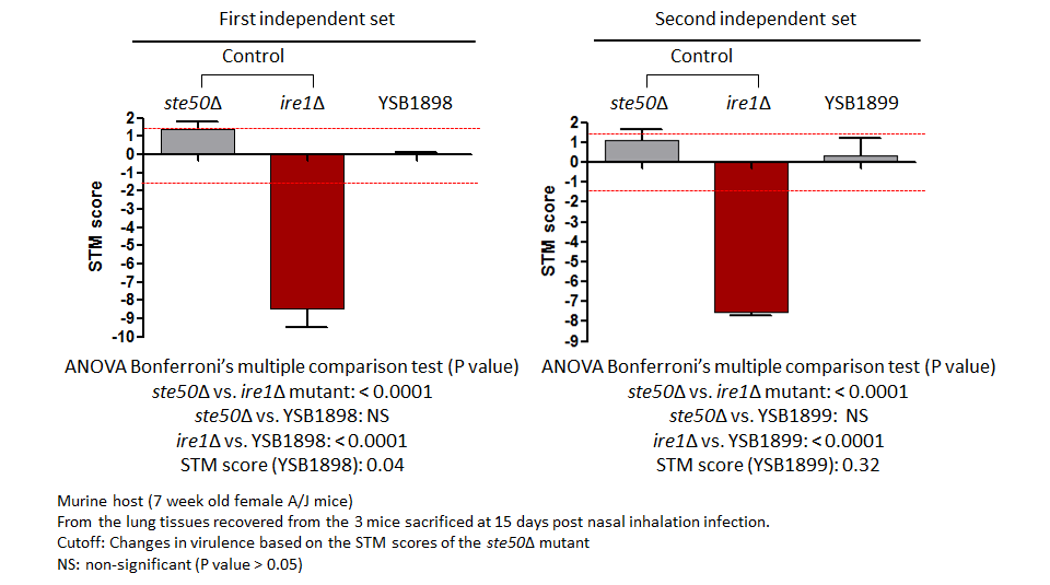STM murine host model data for CNAG_03902T0