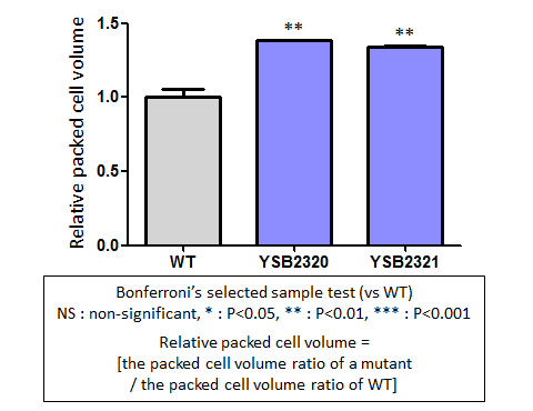 Capsule phenotype for CNAG_04012T0