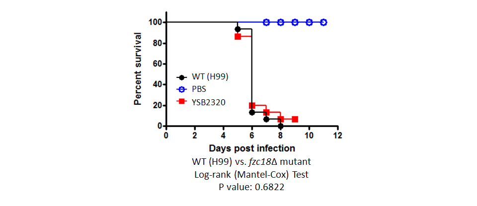 Galleria mellonella virulence data for CNAG_04012T0