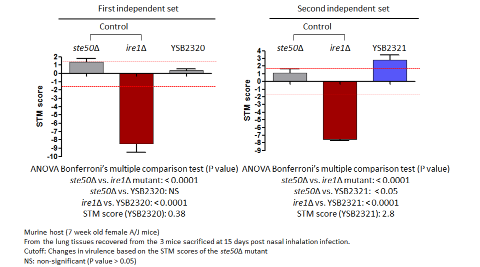 STM murine host model data for CNAG_04012T0