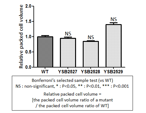 Capsule phenotype for CNAG_04036T0