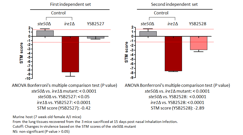 STM murine host model data for CNAG_04036T0