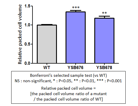 Capsule phenotype for CNAG_04090T0