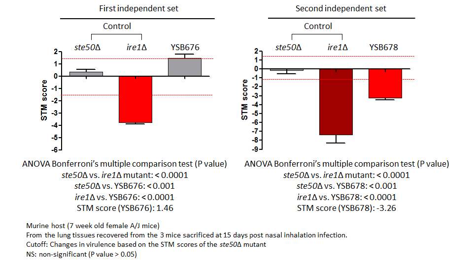 STM murine host model data for CNAG_04090T0