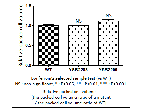 Capsule phenotype for CNAG_04093T0
