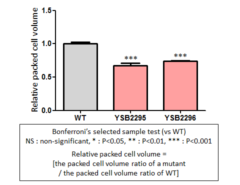 Capsule phenotype for CNAG_04176T0