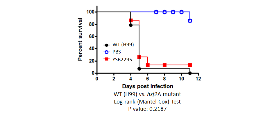 Galleria mellonella virulence data for CNAG_04176T0