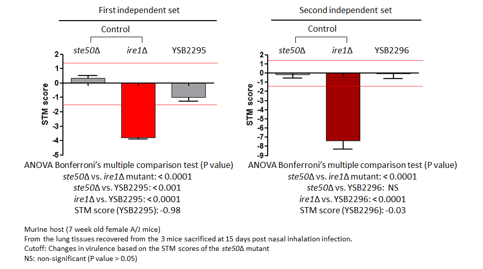 STM murine host model data for CNAG_04176T0