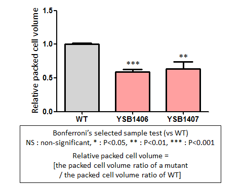 Capsule phenotype for CNAG_04184T0