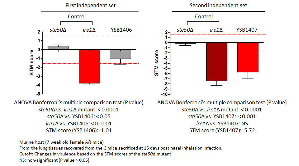 STM murine host model data for CNAG_04184T0