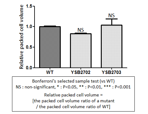 Capsule phenotype for CNAG_04263T0