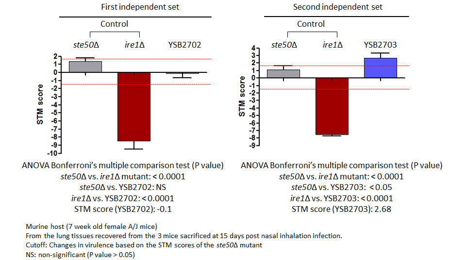 STM murine host model data for CNAG_04263T0