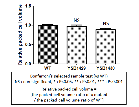 Capsule phenotype for CNAG_04268T0