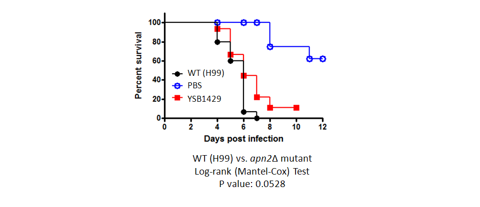Galleria mellonella virulence data for CNAG_04268T0