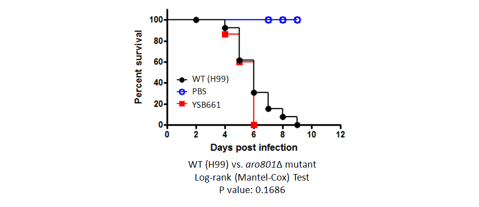 Galleria mellonella virulence data for CNAG_04345T0