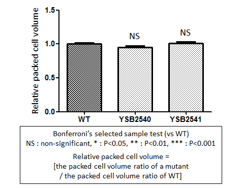 Capsule phenotype for CNAG_04352T0