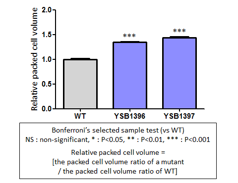 Capsule phenotype for CNAG_04353T1
