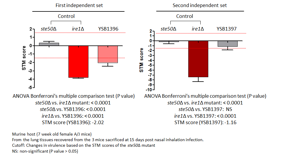 STM murine host model data for CNAG_04353T1