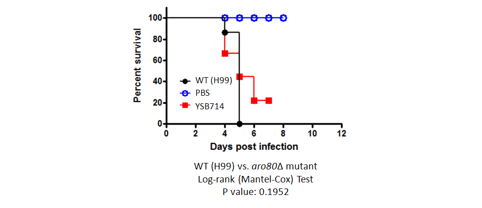Galleria mellonella virulence data for CNAG_04398T0