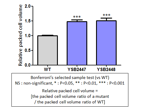 Capsule phenotype for CNAG_04457T0