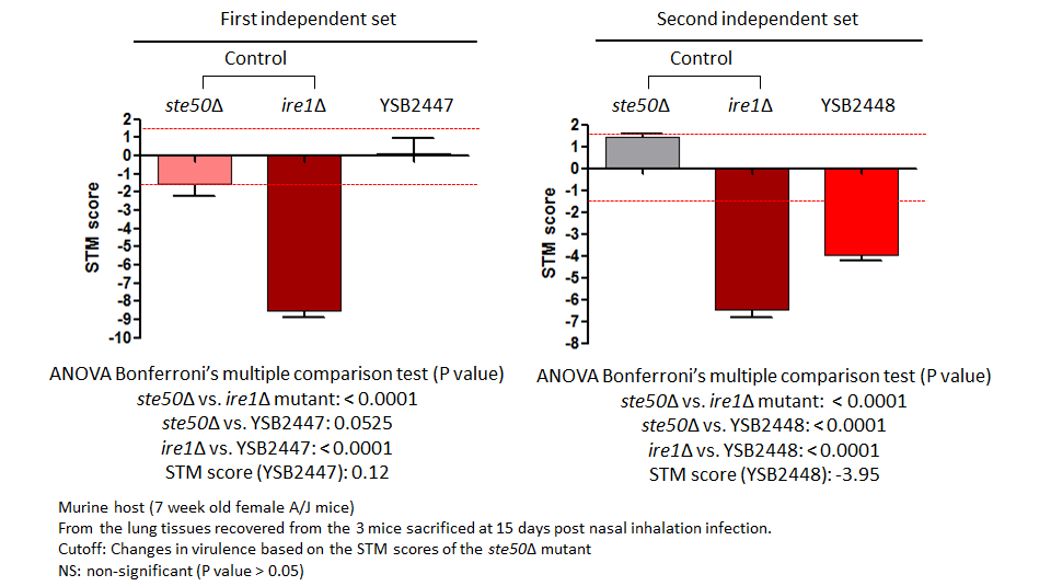 STM murine host model data for CNAG_04457T0