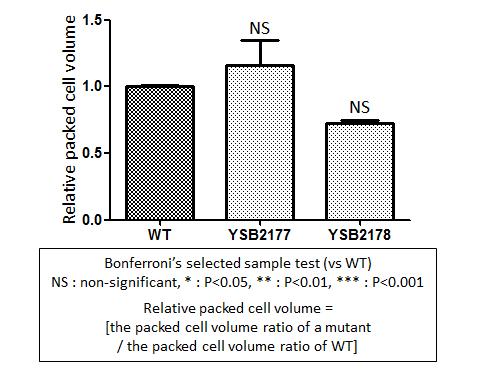 Capsule phenotype for CNAG_04518T0