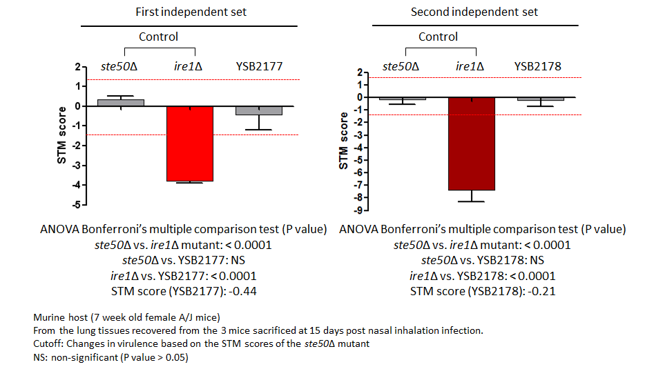 STM murine host model data for CNAG_04518T0