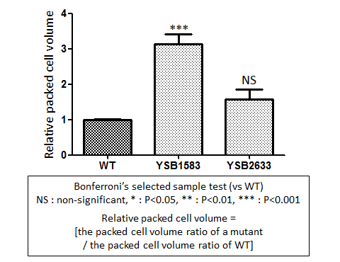 Capsule phenotype for CNAG_04583T0