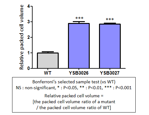 Capsule phenotype for CNAG_04586T1