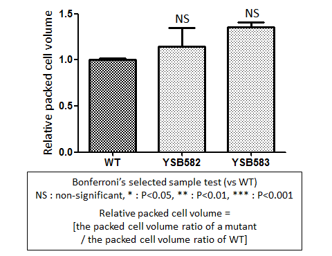 Capsule phenotype for CNAG_04594T0