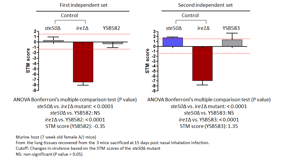 STM murine host model data for CNAG_04594T0