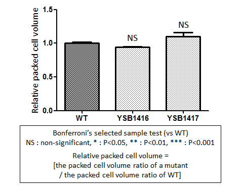 Capsule phenotype for CNAG_04630T0