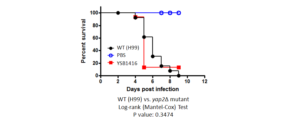 Galleria mellonella virulence data for CNAG_04630T0