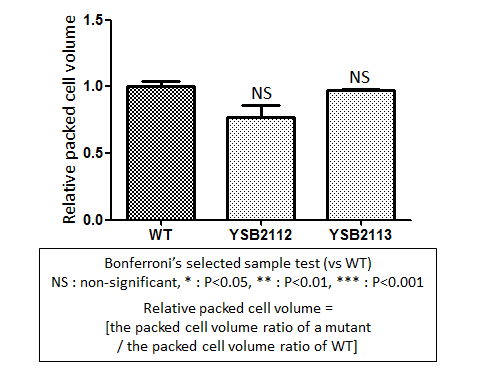 Capsule phenotype for CNAG_04807T0