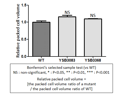 Capsule phenotype for CNAG_04836T0