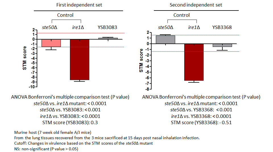 STM murine host model data for CNAG_04836T0