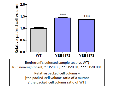 Capsule phenotype for CNAG_04837T0