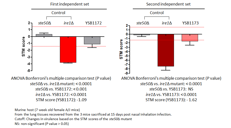 STM murine host model data for CNAG_04837T0