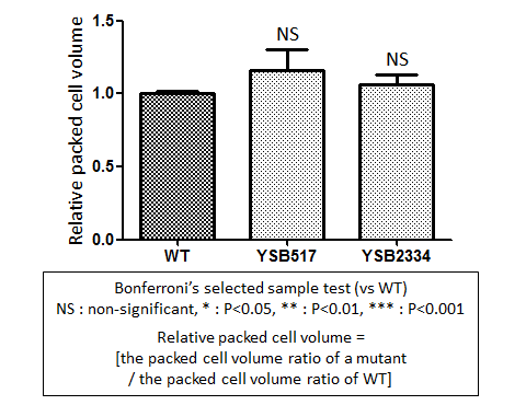 Capsule phenotype for CNAG_04841T1