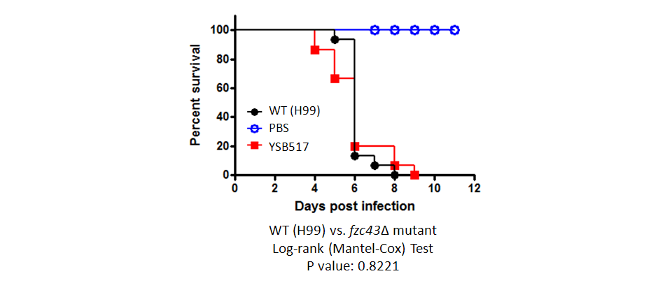 Galleria mellonella virulence data for CNAG_04841T1