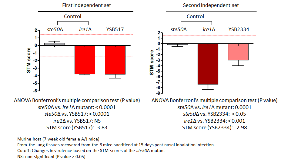 STM murine host model data for CNAG_04841T1